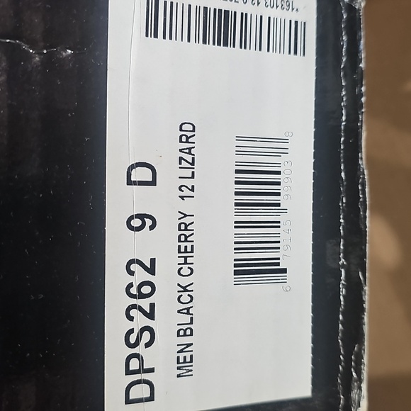 Dan Post Raleigh Lizzard - Picture 3 of 4